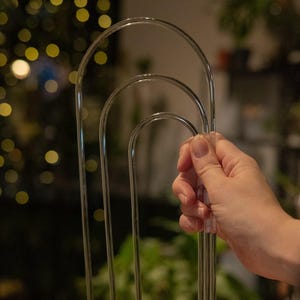 Minimalistic Clear Arch Trellis for Climbing Plants | Hoya Plant Support | Durable Acrylic