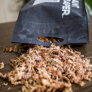Sphagnum Moos für Aroids & Kletterpflanzen Pflanzenmoos-Blumenerde mit hoher Wasserbindung und natürlichem pH-Wert 300g / 13,5L Bild 3