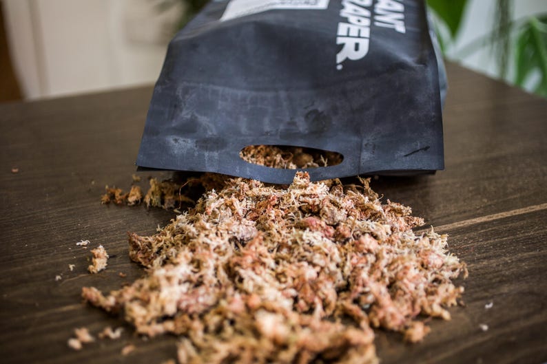 Sphagnum Moos für Aroids & Kletterpflanzen Pflanzenmoos-Blumenerde mit hoher Wasserbindung und natürlichem pH-Wert 300g / 13,5L Bild 3