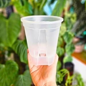 Könnte beinhalten: Ein klarer, durchscheinender Pflanzentopf aus Kunststoff mit leicht ausgestelltem Rand. Der Topf hat vertikale Verstärkungslinien und ein rechteckiges Drainageloch am Boden. Der Topf wird in einer Hand vor einem Hintergrund aus grünem Laub gehalten.