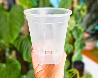 Pot aroïde ventilé transparent à arrosage automatique en plastique non toxique pour plantes d'intérieur exotiques. Flux d'air et drainage améliorés pour les aroïdes