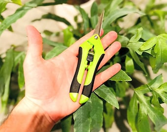 Indoor Pruning Scissors: an essential indoor gardening tool, accessory, equipment