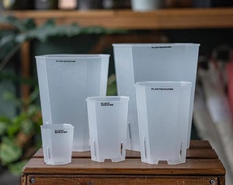 Clear Aroid Pot, Ventilated Plastic Planter, Enhanced Drainage