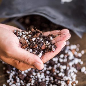 Può includere: Primo piano di una mano che tiene un mix di terra, corteccia e perlite bianca. Il terreno scuro contrasta con la perlite chiara e i pezzi di corteccia marrone. Sullo sfondo è visibile un sacco nero, con più mix di terreno.