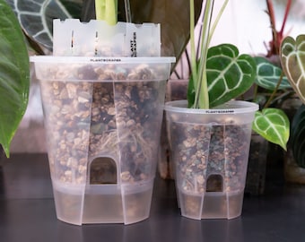 Pot De Plantes En Plastique, 3 Pièces Pot D'orchidée, Pot