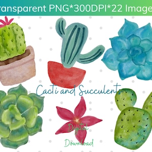 Imágenes Prediseñadas de acuarela de cactus, imágenes prediseñadas de acuarela suculentas DIY, uso comercial, imágenes prediseñadas PNG, fondo transparente