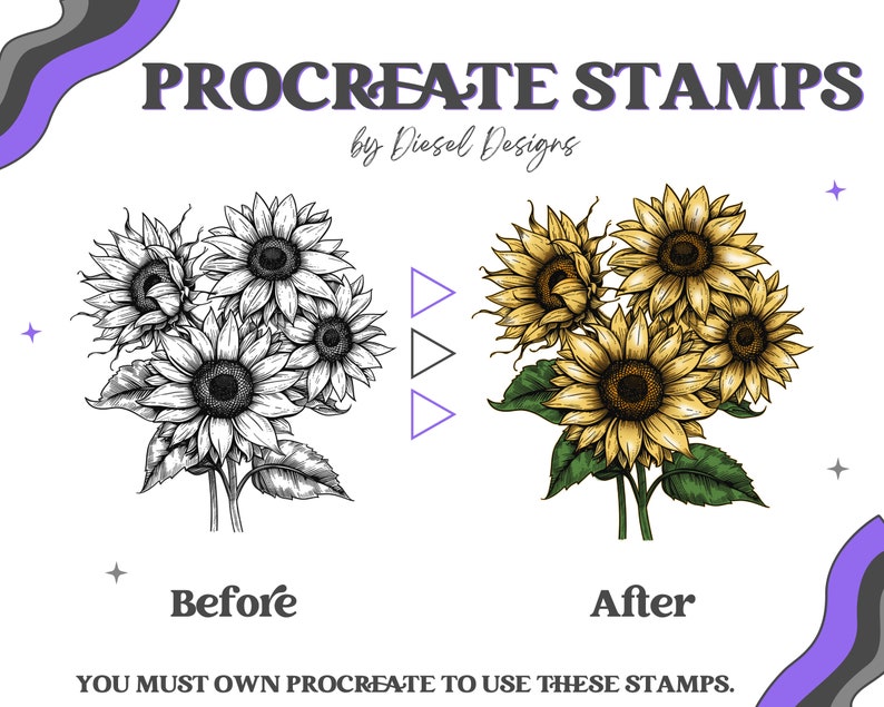2024 Procreate Stamp & Brush Drive 300 DPI Transparent PNG Seamless ...
