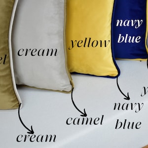 Luxury Velvet Pillow Cover with Piping, Velvet Throw Pillow Cover Any Size, Comfy Solid Pillow Cover, 24 colors piping options Only Cover zdjęcie 6