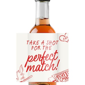 Perfect Match Mini Alcohol Labels & Bottles, Hen Do Favours, Bachelorette Party Gifts, Celebration Supplies, Party Favours
