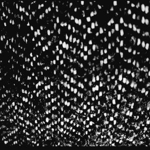 May include: Black and white abstract pattern with a textured, speckled surface. The pattern is made up of small, irregular shapes that are clustered together.