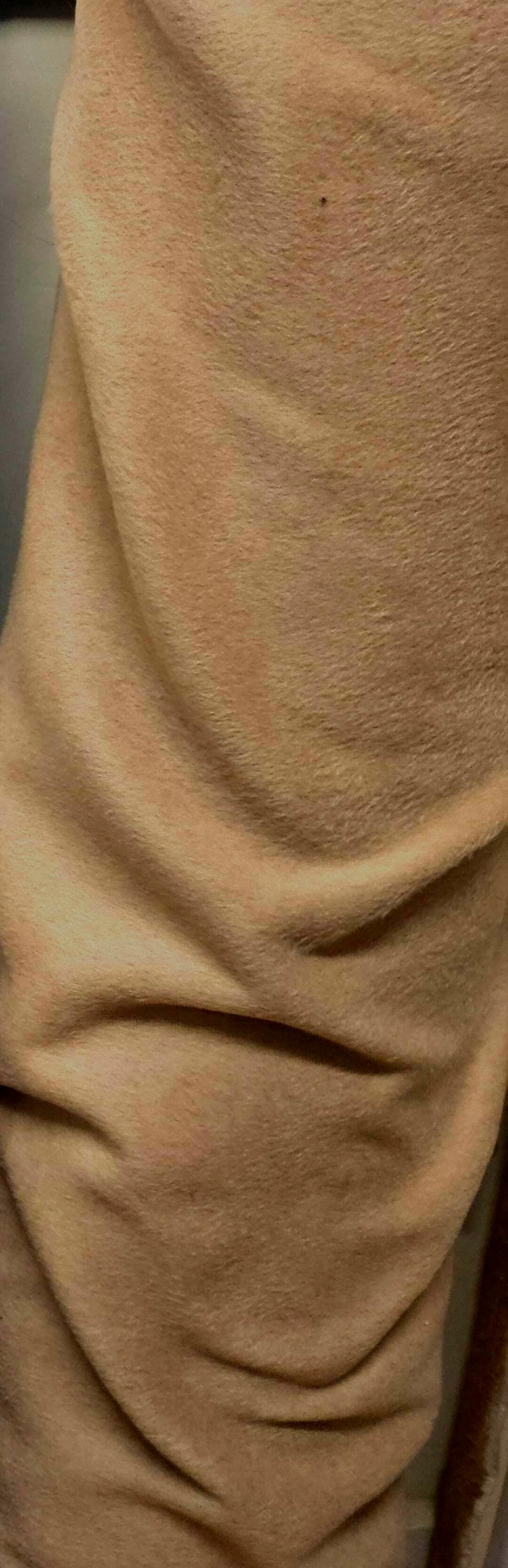 Italian Heavy Camel Colour Wool Fabric ,150 Cm Wide - Etsy