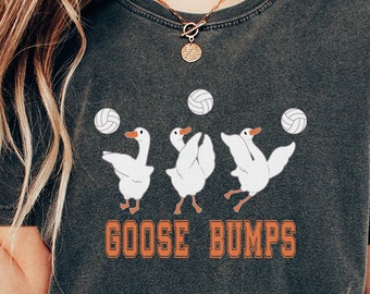 Camiseta divertida del equipo de voleibol, camiseta con púas y conjunto de piel de gallina, camiseta Silly Goose Comfort Colors®, regalo divertido para profesor de educación física, regalo para entrenador de voleibol