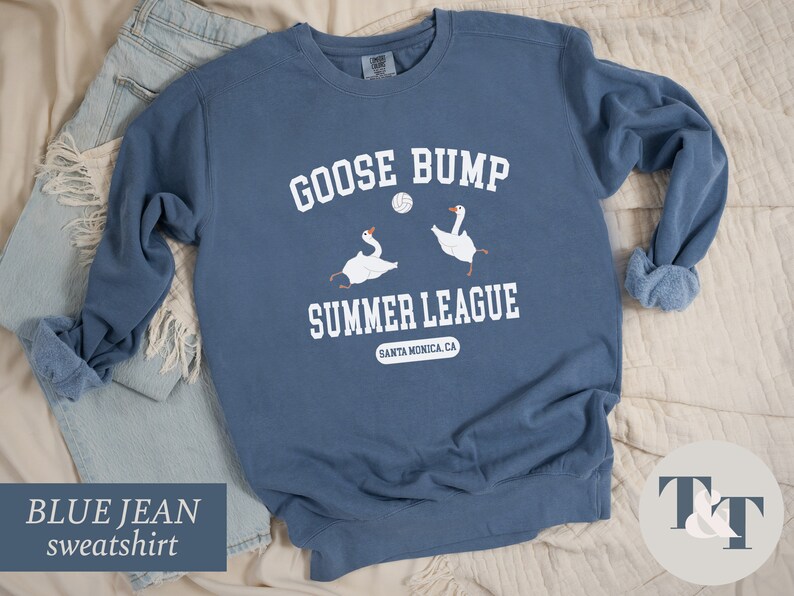 a blue sweatshirt that says goose bump summer league