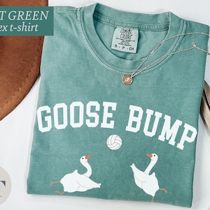 a t - shirt that says goose bump on it