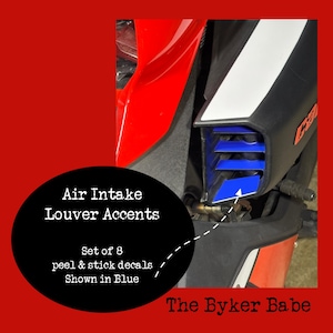 Ryker Can Am Air Intake Louver Decal Set, 8 pcs, Ryker Motorcycle Custom Vinyl Decal  personalize your ride accent OEM colors Can Am Ryker