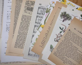 May include: A pile of assorted vintage paper ephemera, including book pages, sheet music, and botanical illustrations. The papers have varying sizes and textures, with visible text and aged tones, creating a nostalgic feel.
