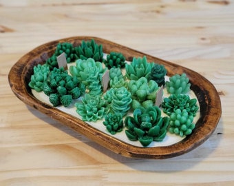 Succulent Dough Bowl Candle | 3 Wick Candle | Soy Candle | Dough Bowl