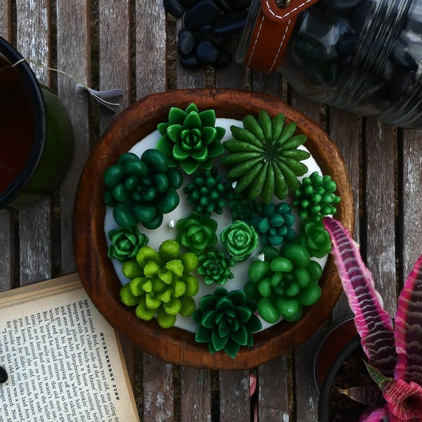 Succulent Dough Bowl Candle | Soy Candle | Circular Dough Bowl