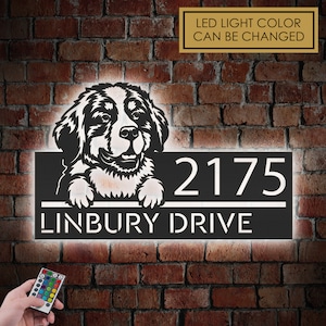 Personalized peeking Bernese Mountain dog, cute puppy Metal Address Sign With LED lights House number Hanging Address Plaque