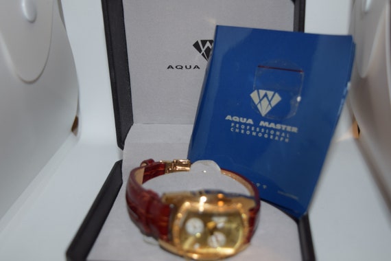 Aqua master professional chronograph hotsell