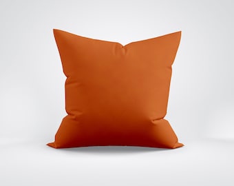 Vibrant Vista Orange Pillow