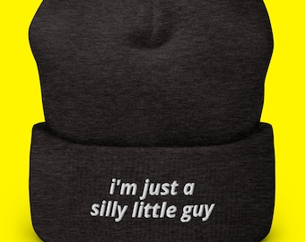I'm Just a Silly Little Guy Funny Wool Hat, Funny Winter Hat, Meme