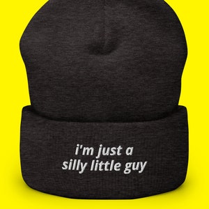 i'm just a silly little guy funny wool hat, funny winter hat, meme hat, funny christmas gift for friend, funny gift comedy, funny beanie