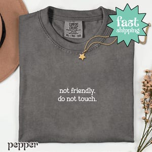 May include: A dark grey Comfort Colors t-shirt with the text "not friendly. do not touch." printed in white. A gold star pendant necklace and a "fast shipping" graphic are also visible. The shirt is folded and ready to wear.
