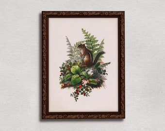 Chipmunk and Ferns | Vintage fine art prints, Cottage core, Maximalism, Rustic home decor, Biophilia botanical print, Bohemian decor