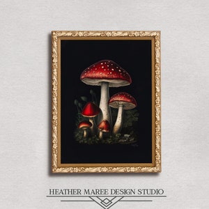 Fly agaric mushrooms | Botanical fine art prints, Cottagecore home decore, Witchy wall art, Dark academia, Red aesthetic room decor
