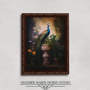 Peacock fine art print | Bird lover gift, French country home decore, Light academia artwork, Peacock wall decore, Jane Austen artwork