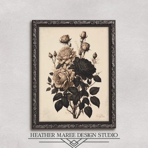 Black and Blush Roses | Botanical fine art prints, Floral wall decore, Art deco flower painting, Gothic home decore, Rose wall art