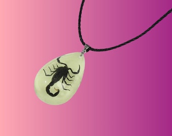 Scorpion Glow in the Dark Necklace