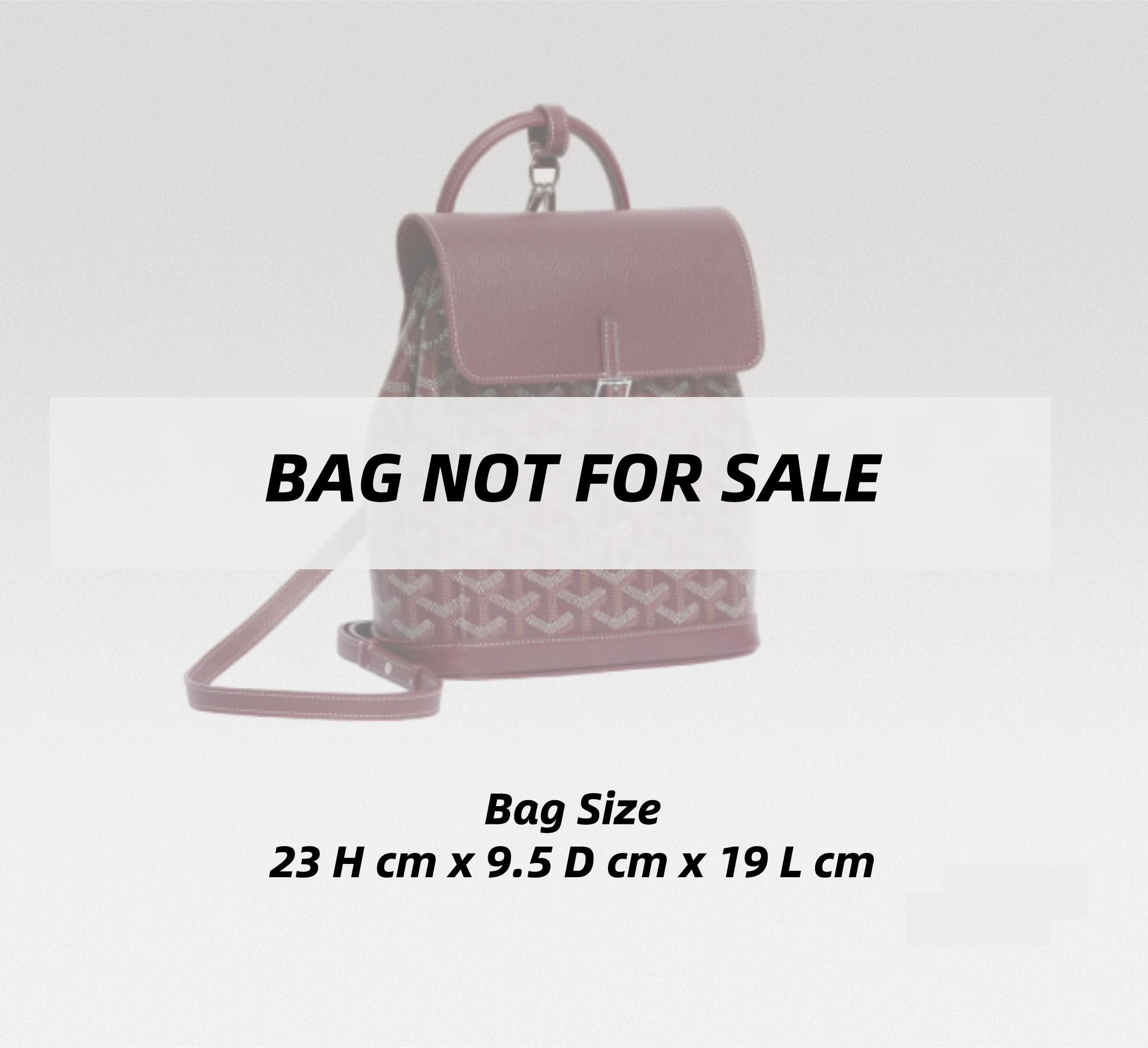 5-3/ Go-Alpin-Mini) Bag Organizer for Alpin Mini Backpack - SAMORGA®  Perfect Bag Organizer