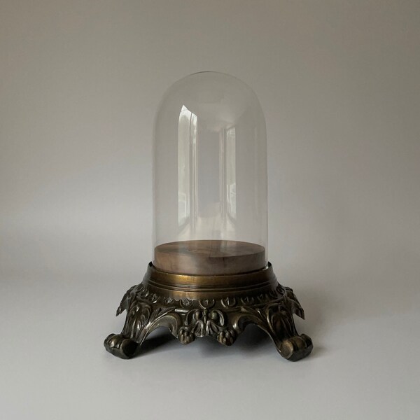 Glass Dome Display Etsy
