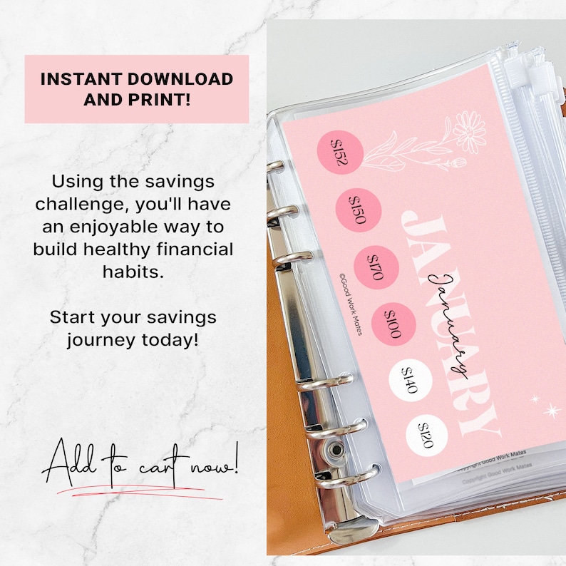 May include: A pink printable savings tracker for January with a floral design. The tracker includes circles for saving amounts of $120, $140, $100, $170, and $150. The text "January" is written in a white script font.