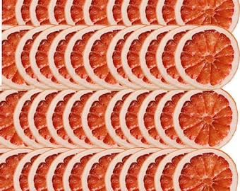 100pcs Dehydrated Grapefruit slices. Dried citrus in bulk. Safe for drinks and consumption. Natural cocktail garnish decoration.