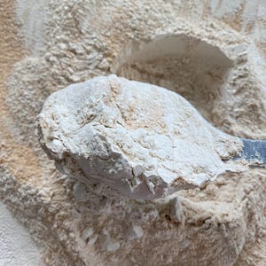 May include: Close-up of a scoop of light brown flour, held by a metal utensil, against a backdrop of more flour. The flour has a slightly coarse texture and a light, natural color, suggesting it may be whole wheat or a similar type.