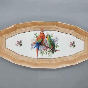 Puede incluir: Una bandeja ovalada decorativa con un borde de color melocotón y un centro blanco. La bandeja presenta un diseño pintado de dos loros posados en una rama con flores rosas.