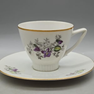 1920s Haas & Cžjžek Czechoslovakia Porcelain Teacup and Saucer Plate, Duo Tea Set | Vintage Czech Porcelain