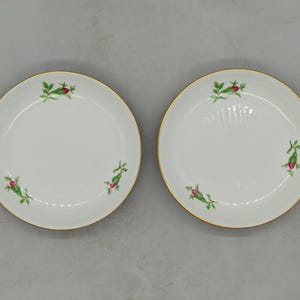 Pair of 1940s Fürstenberg Germany Porcelain Saucer Plates | Vintage German Porcelain