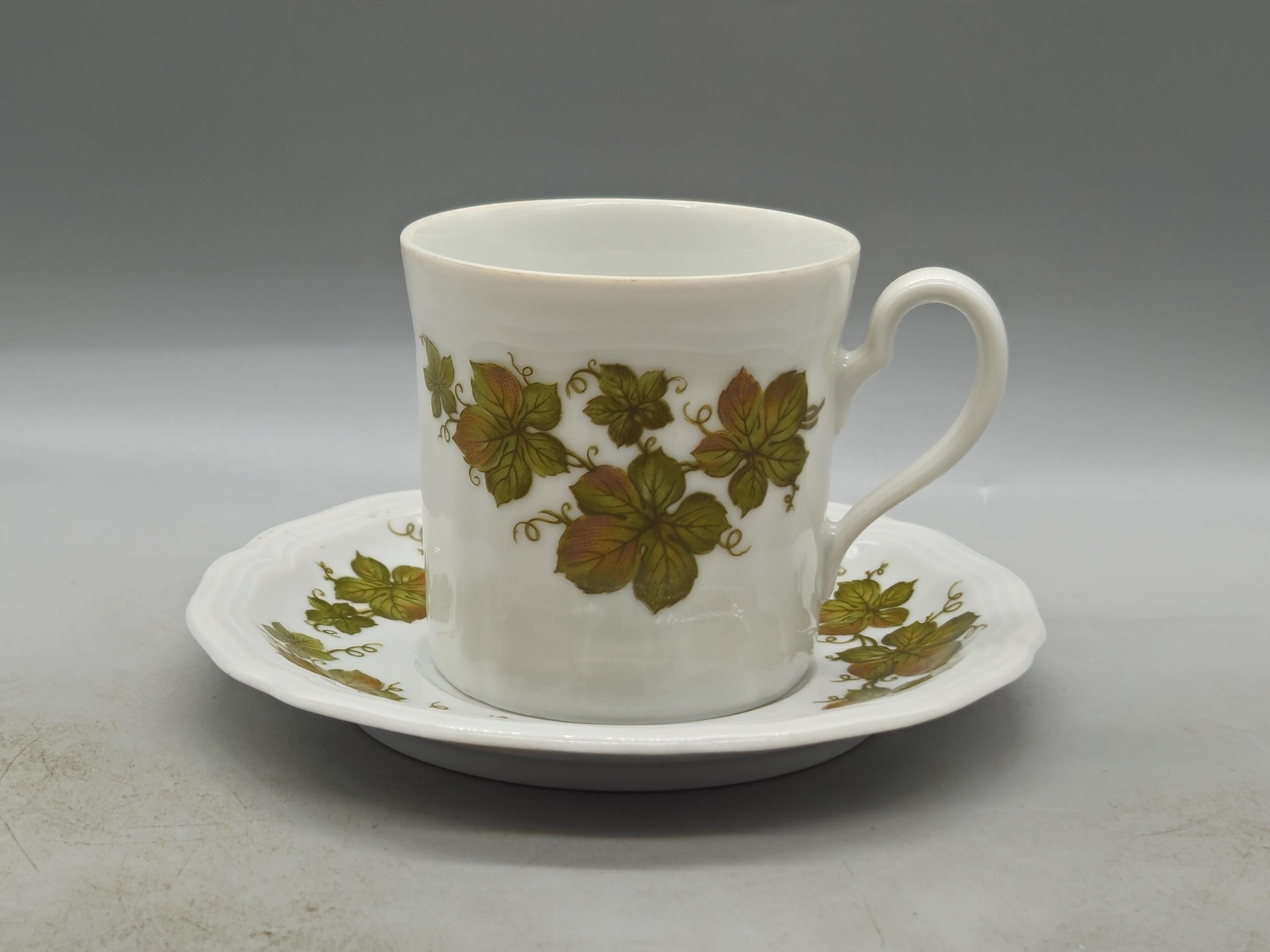 Vintage Christian Seltmann Weiden Bavaria Cup & Saucer Plate, Duo 