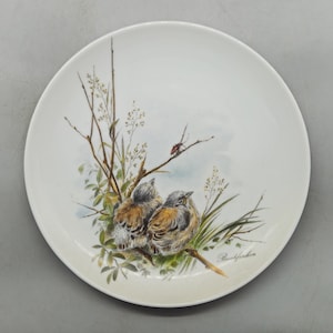 1980s Alka Kunst, Alboth & Kaiser Bavaria Dessert Plate With Hand-Painted Motif of a Pair of Chaffinch Birds | Vintage German Porcelain