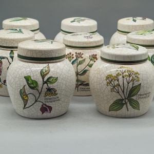 May include: Set of eight white ceramic spice jars with green and brown floral designs and labels. The labels include the names of the spices: Myristica Fragrans, Eugenia Caryophyllus, Cinnamon Ceylon, and others.