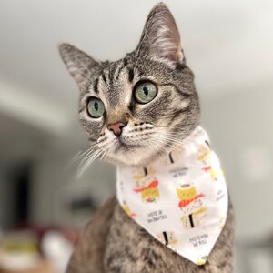 Assorted Pet Bandanas for Ferrets, Cats and Dogs