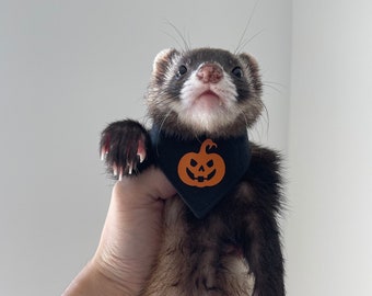 Reversible Ferret Bandana - Halloween Edition (Glow in the Dark)