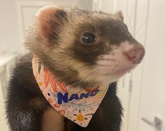 Name Customizable Ferret Bandana/ Ferret Accessories