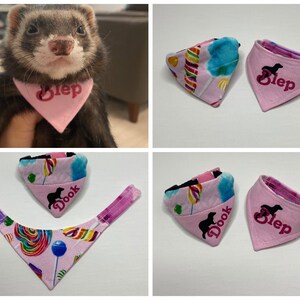 Ferret Bandana