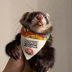 Reversible Pet Bandana - Donuts