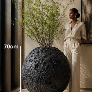 Op de afbeelding: Een grote, bolvormige zwarte plantenbak met een zwaar getextureerd, ruw oppervlak. De plantenbak is voorzien van een zichtbare maataanduiding van 70 cm hoog. Een hoge, bladerrijke groene plant met dunne, vertakte stengels groeit uit de bovenkant.
